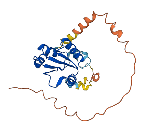 METTL15P1 3D structure