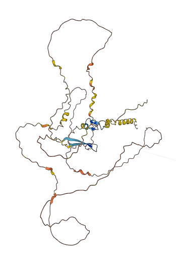 FAM90A14P 3D structure
