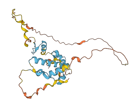 ZNF688 3D structure