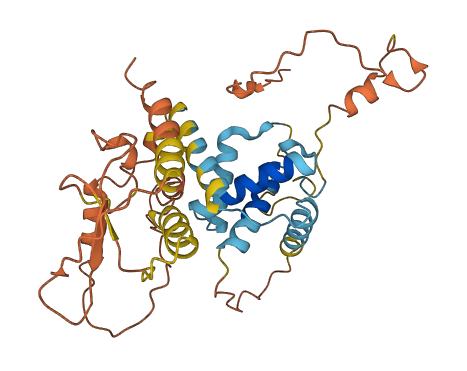 CCNYL3 3D structure