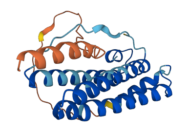 FTH1P19 3D structure