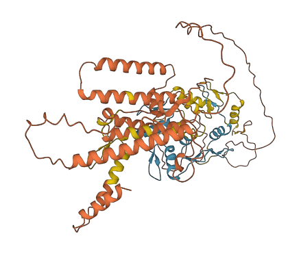 ZNF806 3D structure