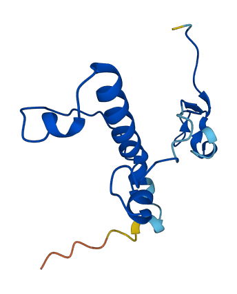 LINC00614 3D structure