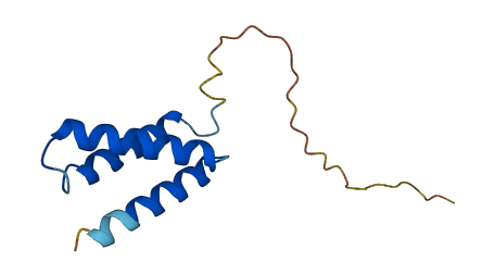 LINC00032 3D structure