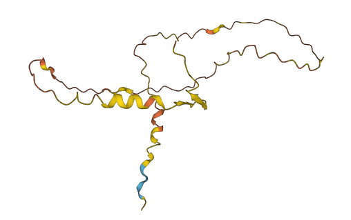 DANCR 3D structure