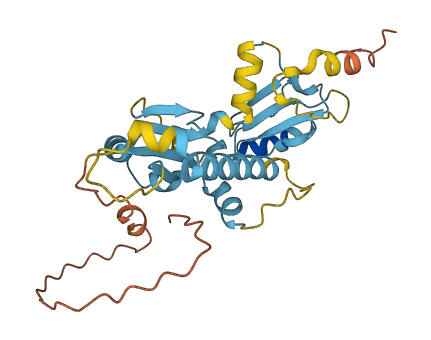 LINC00869 3D structure