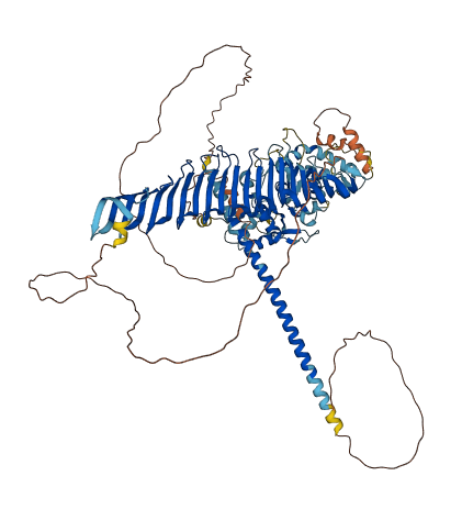RSPH10B 3D structure