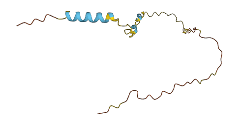 TLX1NB 3D structure