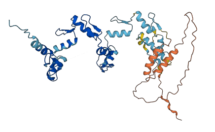 ZNF735 3D structure