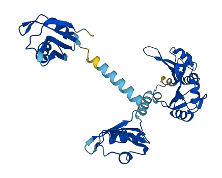 PABPC4L 3D structure