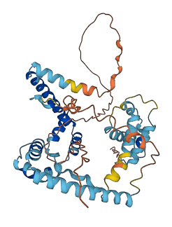 UBTFL6 3D structure