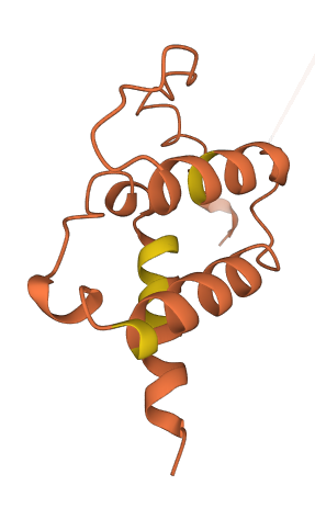 C3orf79 3D structure