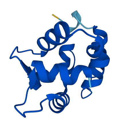 OCM2 3D structure