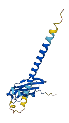 TRGC1 3D structure