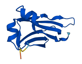 IGLC6 3D structure