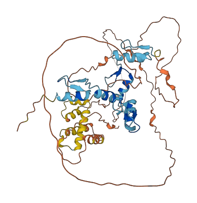 ZSCAN5DP 3D structure