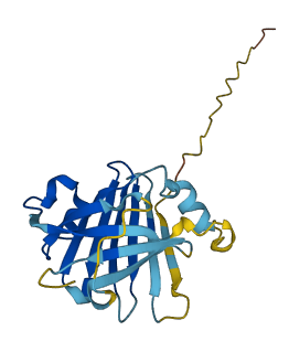 GKN3P 3D structure