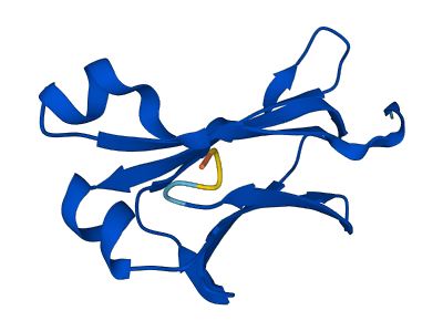 IGLC1 3D structure