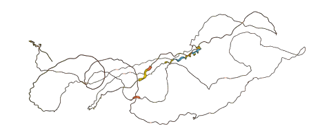DERPC 3D structure