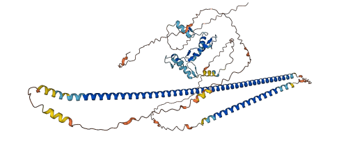 ZNF853 3D structure