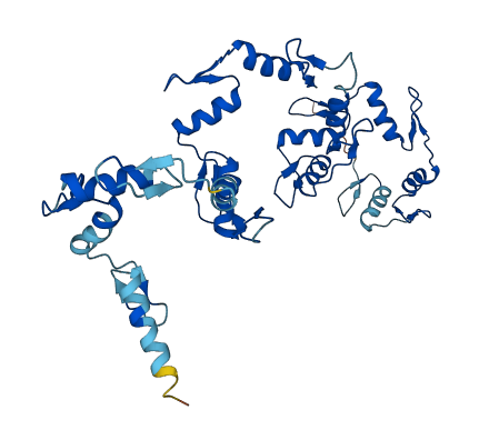 ZNF883 3D structure