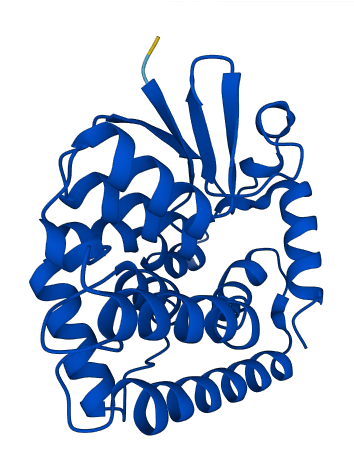 GSTT2 3D structure
