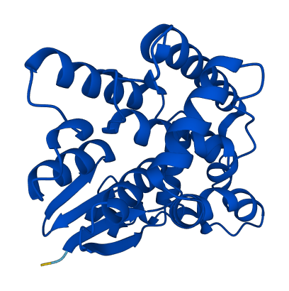 GSTT2B 3D structure