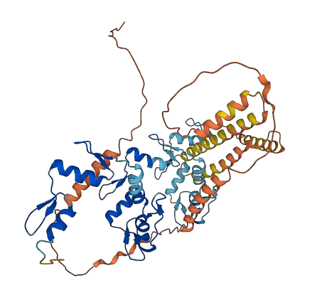 ZNF286B 3D structure