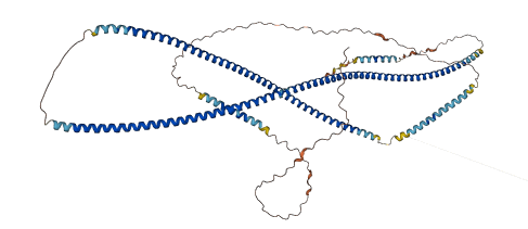 GOLGA6D 3D structure