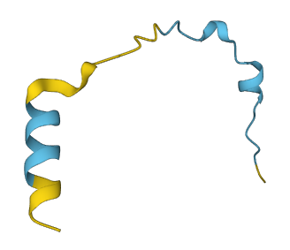 TMSB15B 3D structure