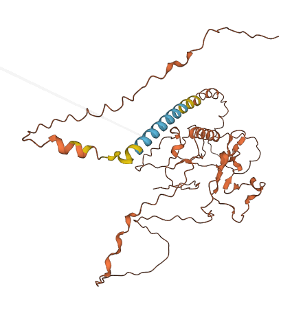 FAM157B 3D structure