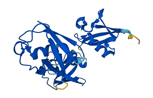 UBB 3D structure