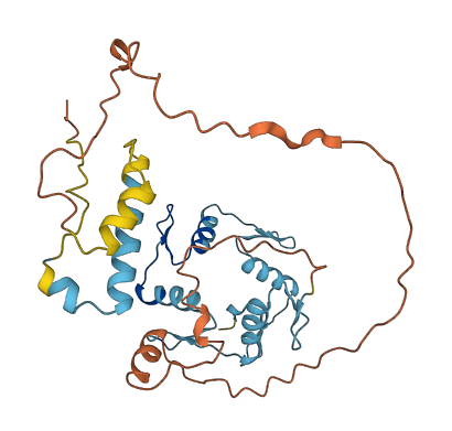 ZNF705D 3D structure