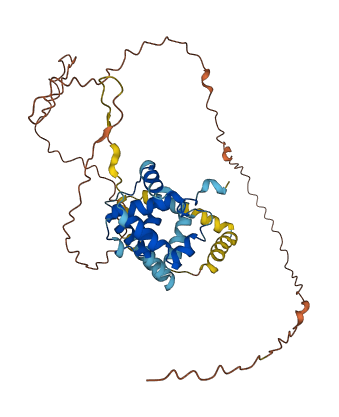 SPDYE6 3D structure