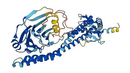 TRIM49 3D structure