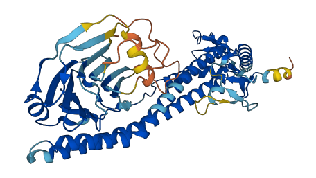 TRIM49C 3D structure