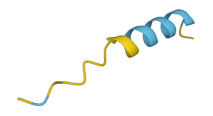 MTRNR2L1 3D structure