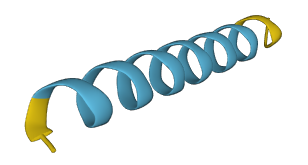MTRNR2L4 3D structure