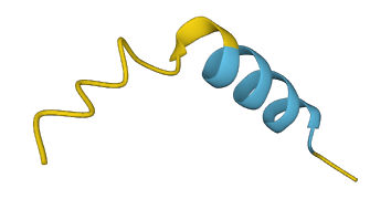 MTRNR2L5 3D structure