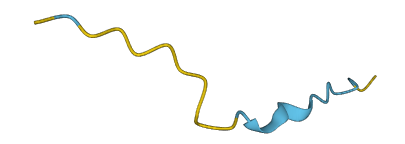 MTRNR2L6 3D structure