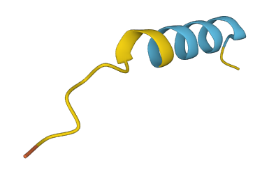 MTRNR2L8 3D structure
