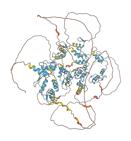ZNF865 3D structure