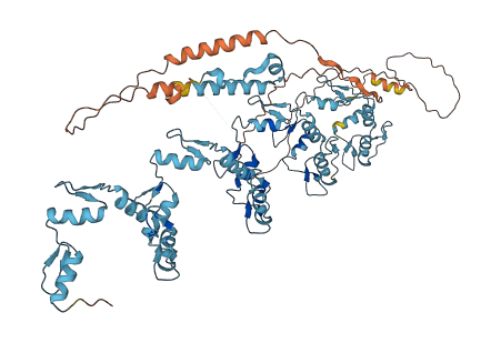ZNF888 3D structure