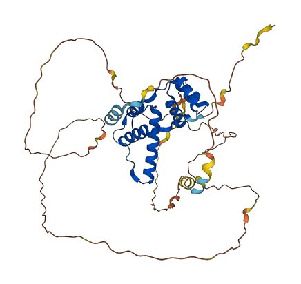 DUX4L2 3D structure