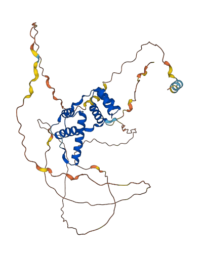 DUX4L3 3D structure