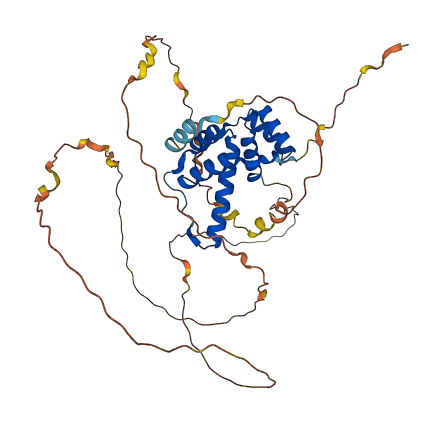 DUX4L4 3D structure