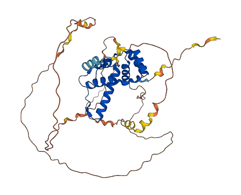DUX4L5 3D structure