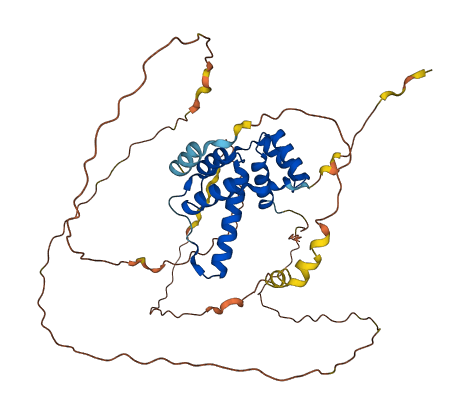 DUX4L6 3D structure
