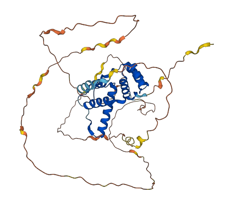 DUX4L7 3D structure