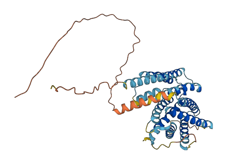 SLC35E2B 3D structure